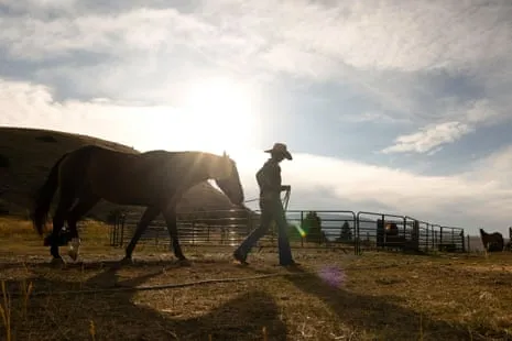 Discover the American Women Ranchers Transforming Contemporary Ranch Life